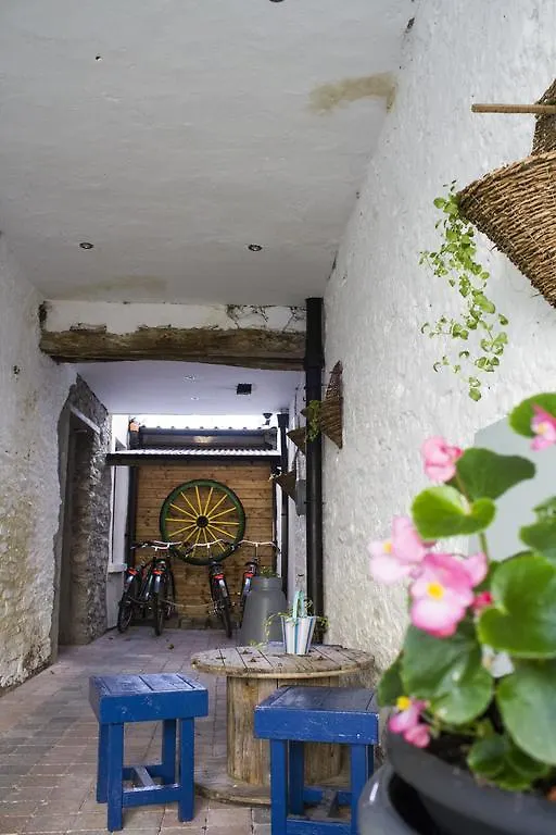 The Black Sheep Hostel كيلارني أيرلندا
