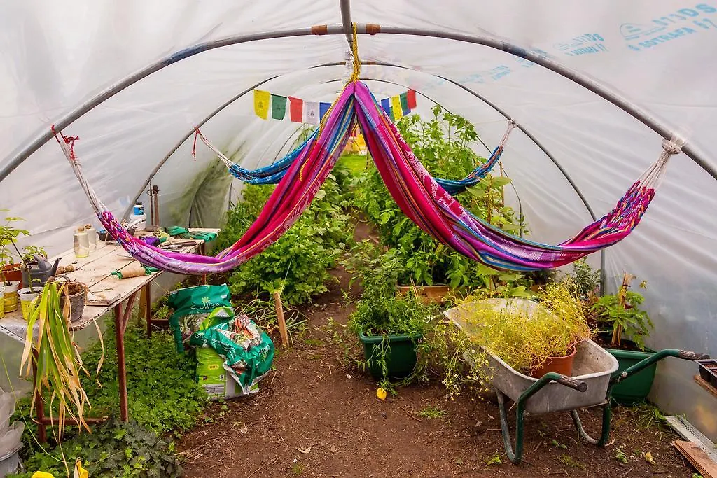 The Black Sheep Hostel كيلارني