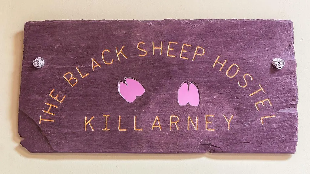 The Black Sheep Hostel كيلارني 0*,