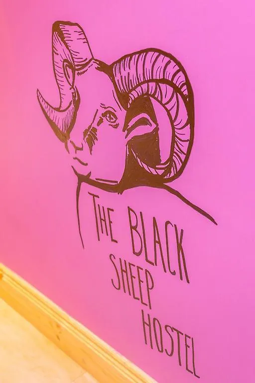 The Black Sheep Hostel كيلارني