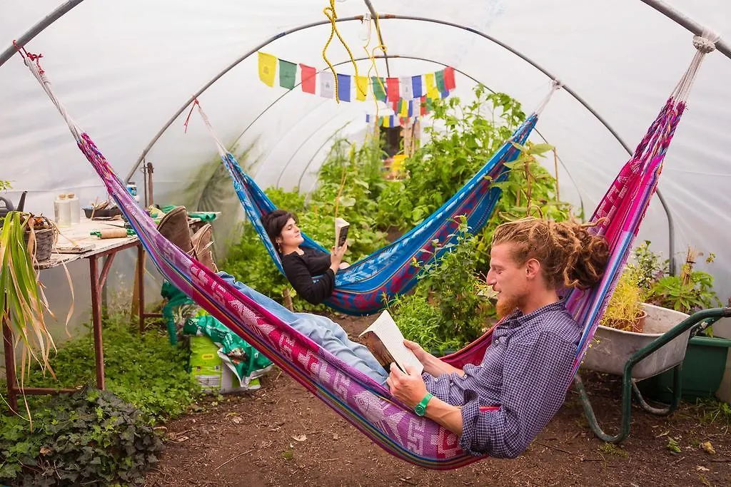 The Black Sheep Hostel كيلارني